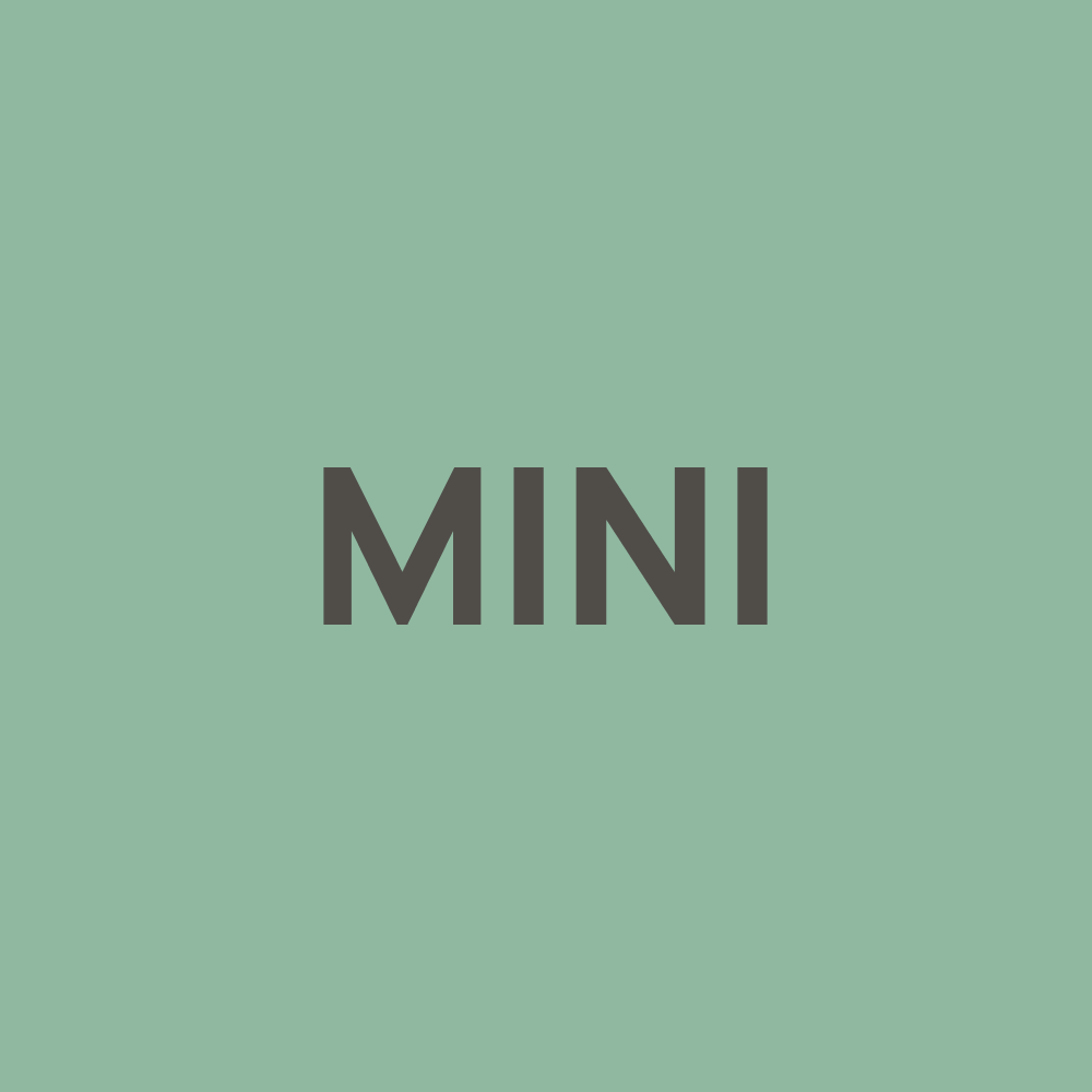 MINI Body Startkit